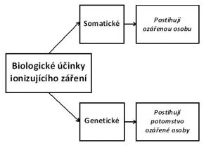 Biologické účinky ionizujícího záření s ohledem na postižené osoby