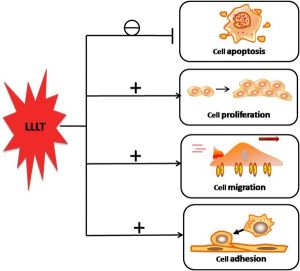 Mechanismus účinku terapeutického laseru
