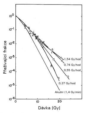 Efekt příkonu dávky a inverzní efekt dávkového příkonu