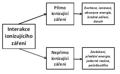 Hlavní interakční procesy přímo a nepřímo ionizujícího záření 