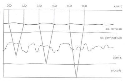 Hloubka průniku světla do kůže v závislosti na vlnové délce
