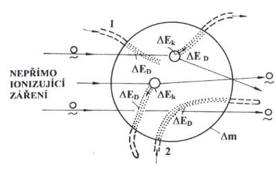 Obrázek k definici kermy