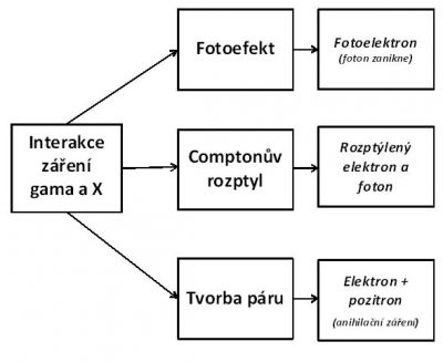 Nejdůležitější interakce záření gama a X s látkou